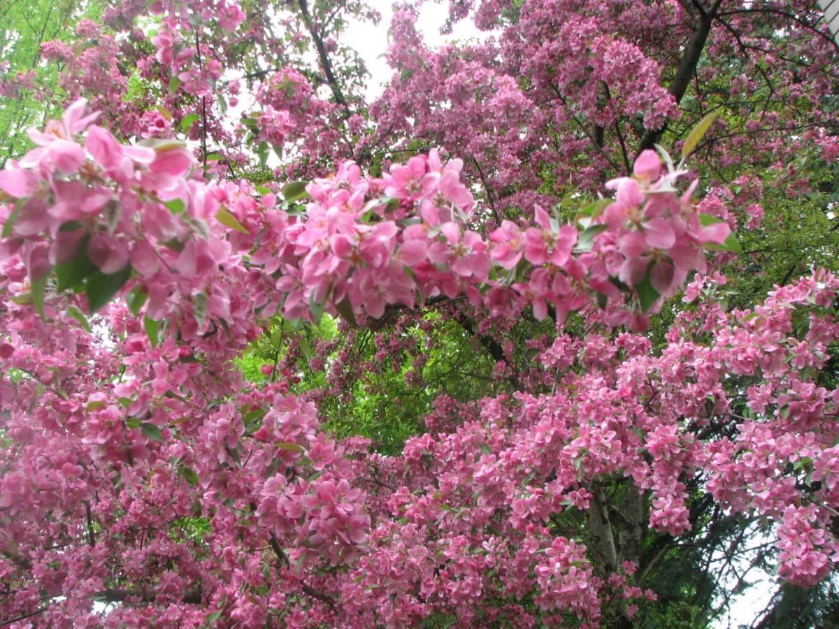 Magnolia B&B 그랜비 외부 사진